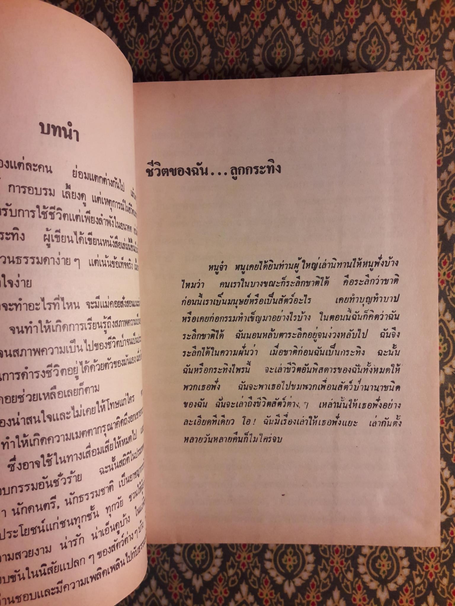 ชีวิตของฉันลูกกระทิง “หนังสือดี 100 ชื่อเรื่อง ที่เด็กและเยาวชนไทยควรอ่าน”