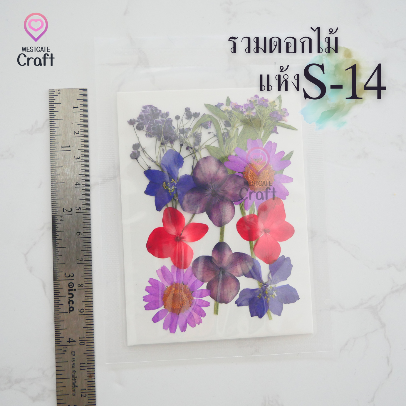 รวมดอกไม้แห้ง S ดอกไม้แห้งทับ ดอกไม้แบบคละ