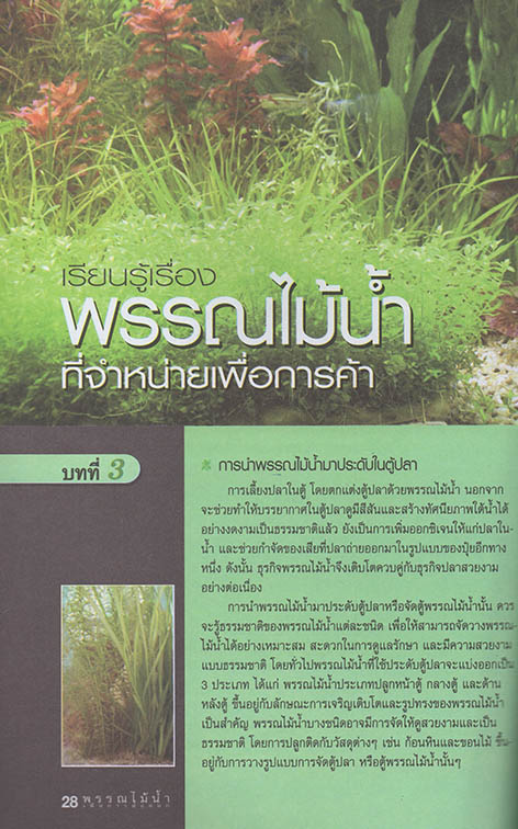 การปลูกและดูแลรักษา พรรณไม้น้ำ