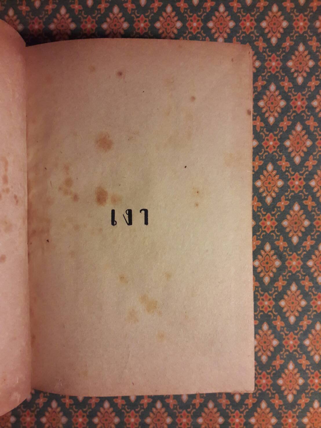 เงา (2 เล่มจบ)