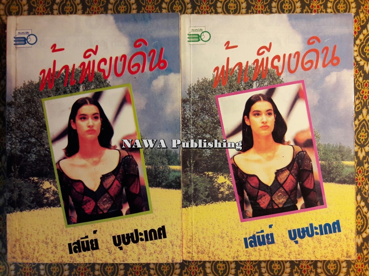 ฟ้าเพียงดิน (2 เล่มจบ)