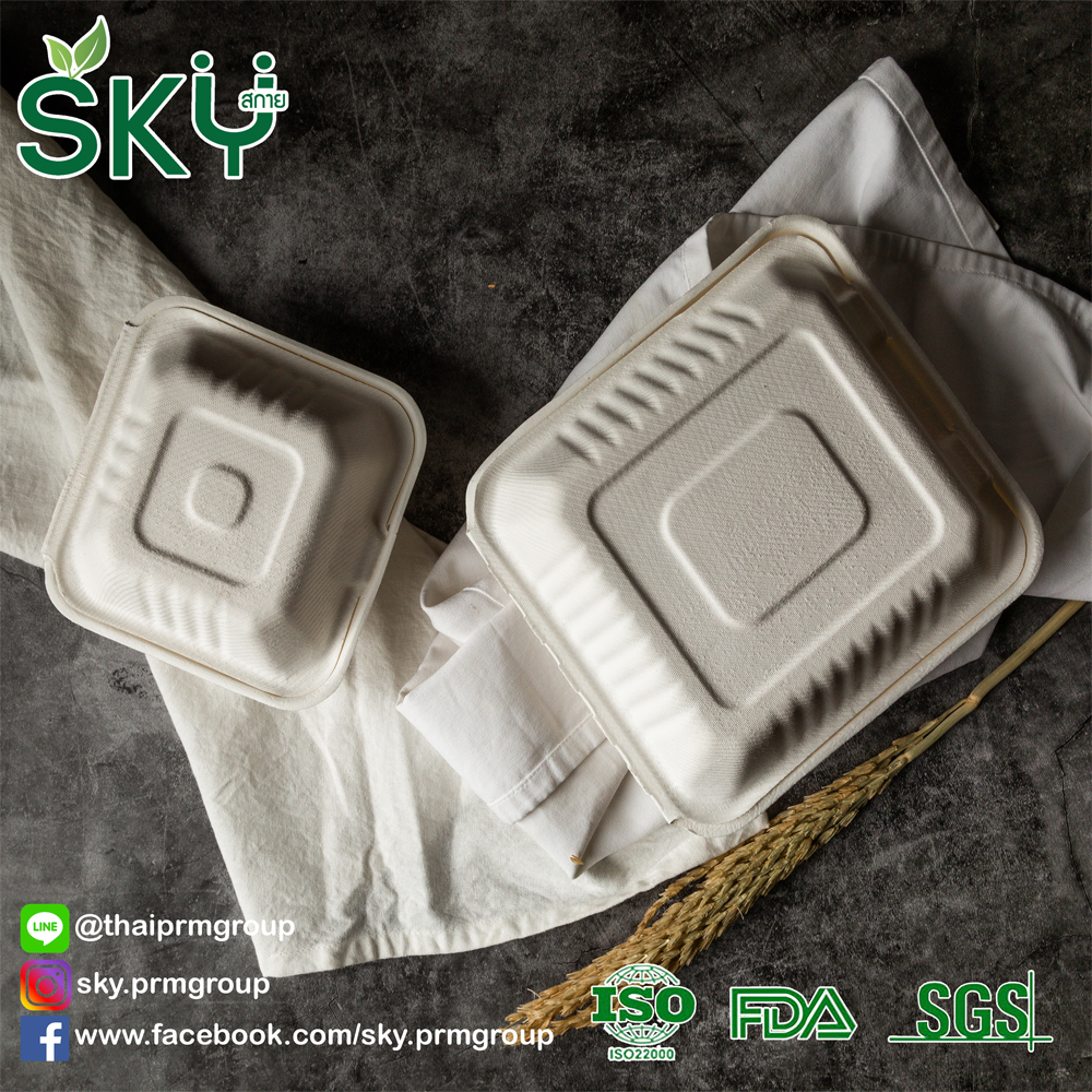 [ยกลัง250ชุด] SKY กล่องอาหารชานอ้อยฝาปิด ทรงจตุรัส รุ่น BS 500ml / 1100ml / รุ่น3ช่อง-1000ml