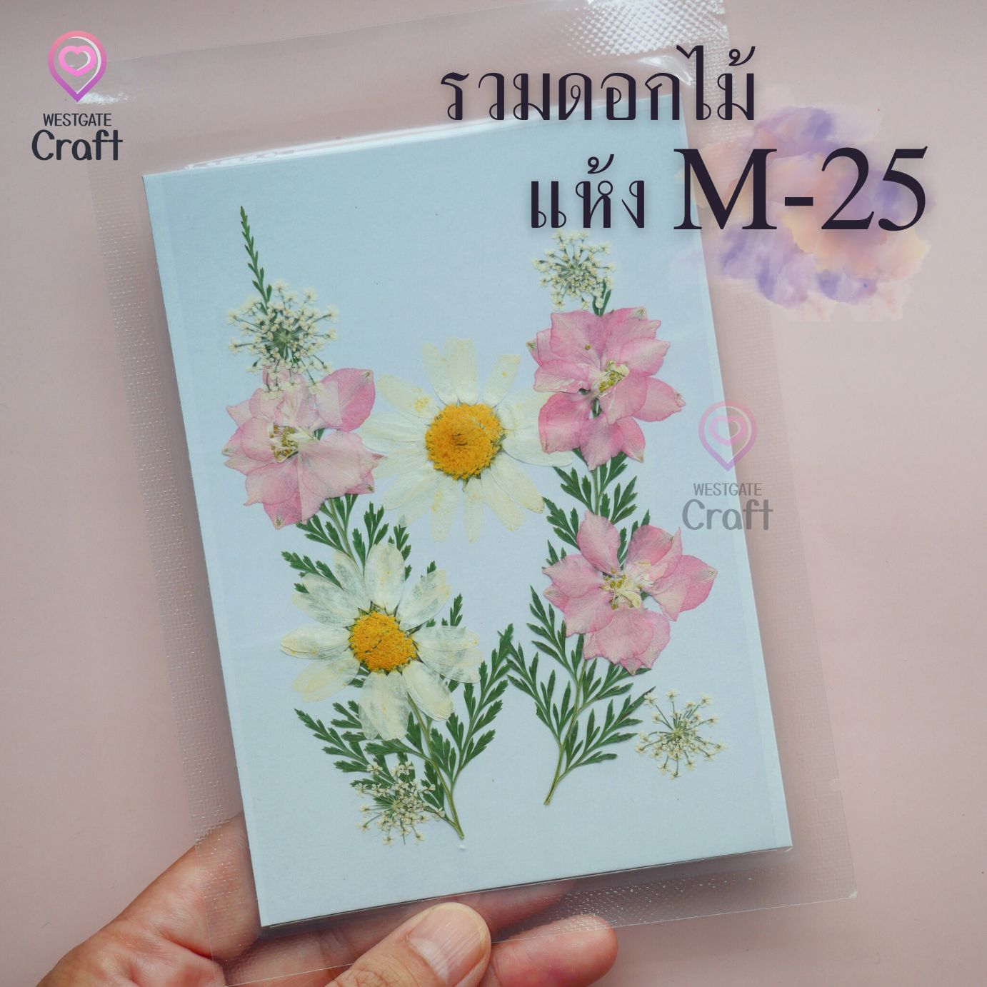 รวมดอกไม้แห้ง M ดอกไม้แห้งทับ ดอกไม้แบบคละ