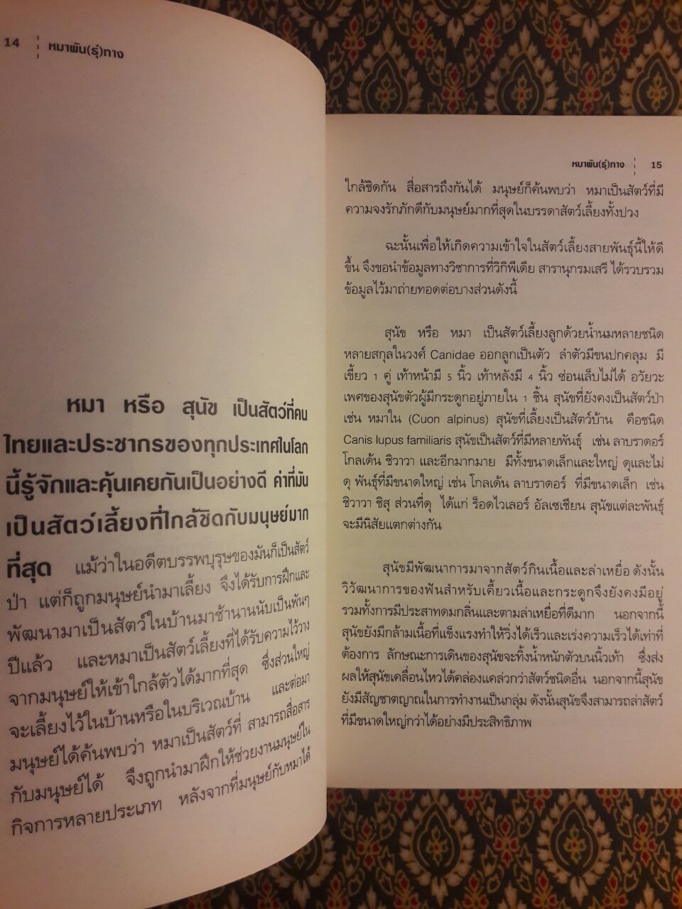 หมาพัน (ธุ์) ทาง