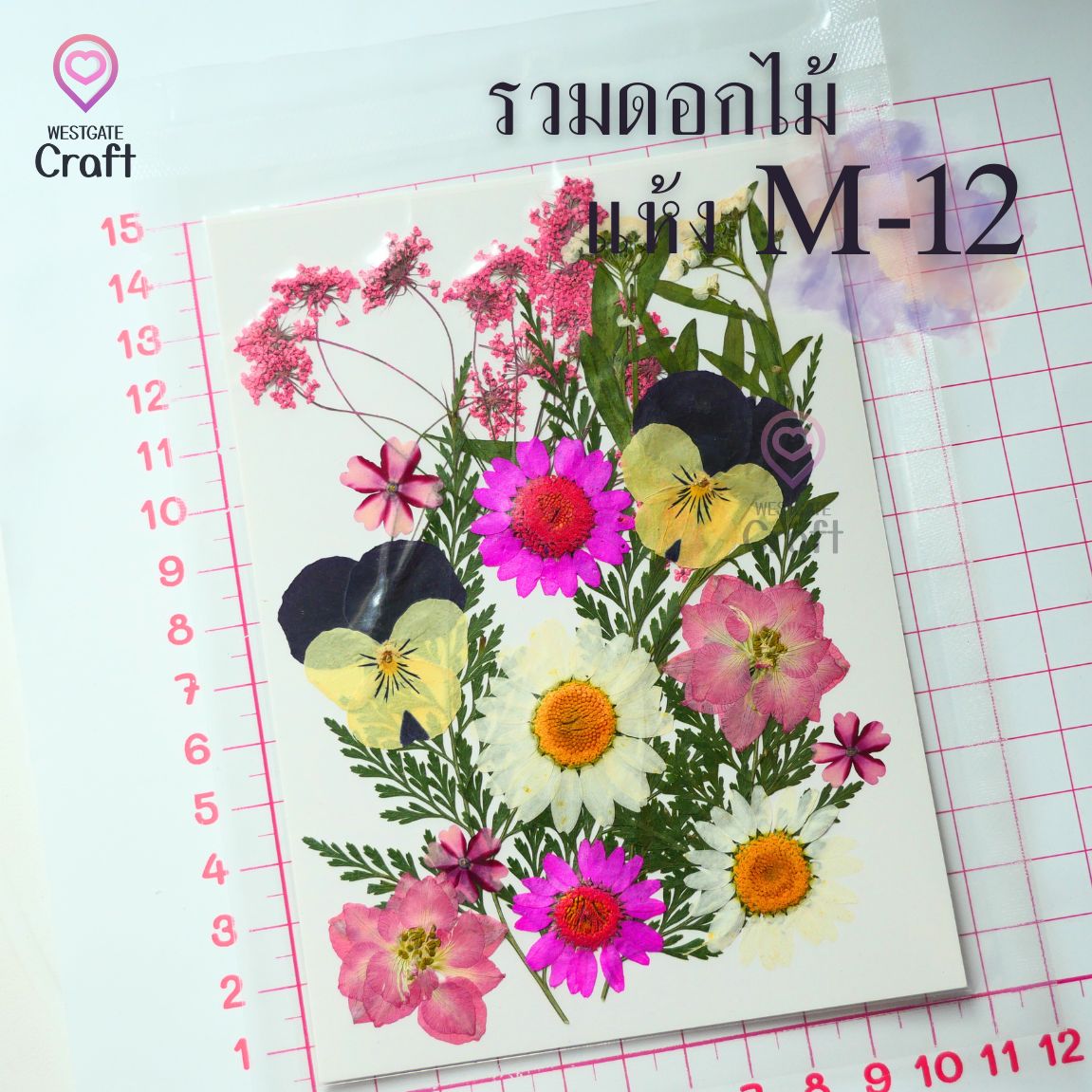 รวมดอกไม้แห้ง M ดอกไม้แห้งทับ ดอกไม้แบบคละ
