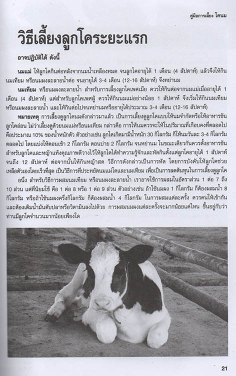 คู่มือการเลี้ยงโคนมและโคเนื้อ