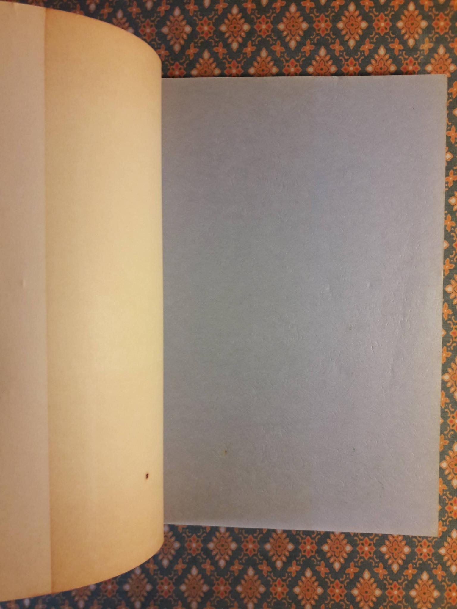 จิ๋วแต่แจ๋ว ทิศทางที่แท้จริงของธุรกิจ