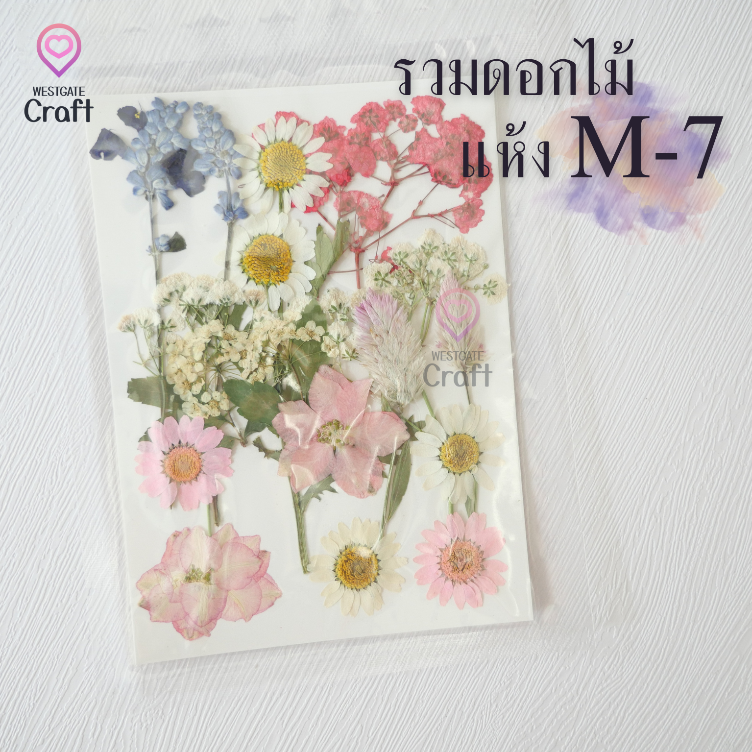 รวมดอกไม้แห้ง M ดอกไม้แห้งทับ ดอกไม้แบบคละ
