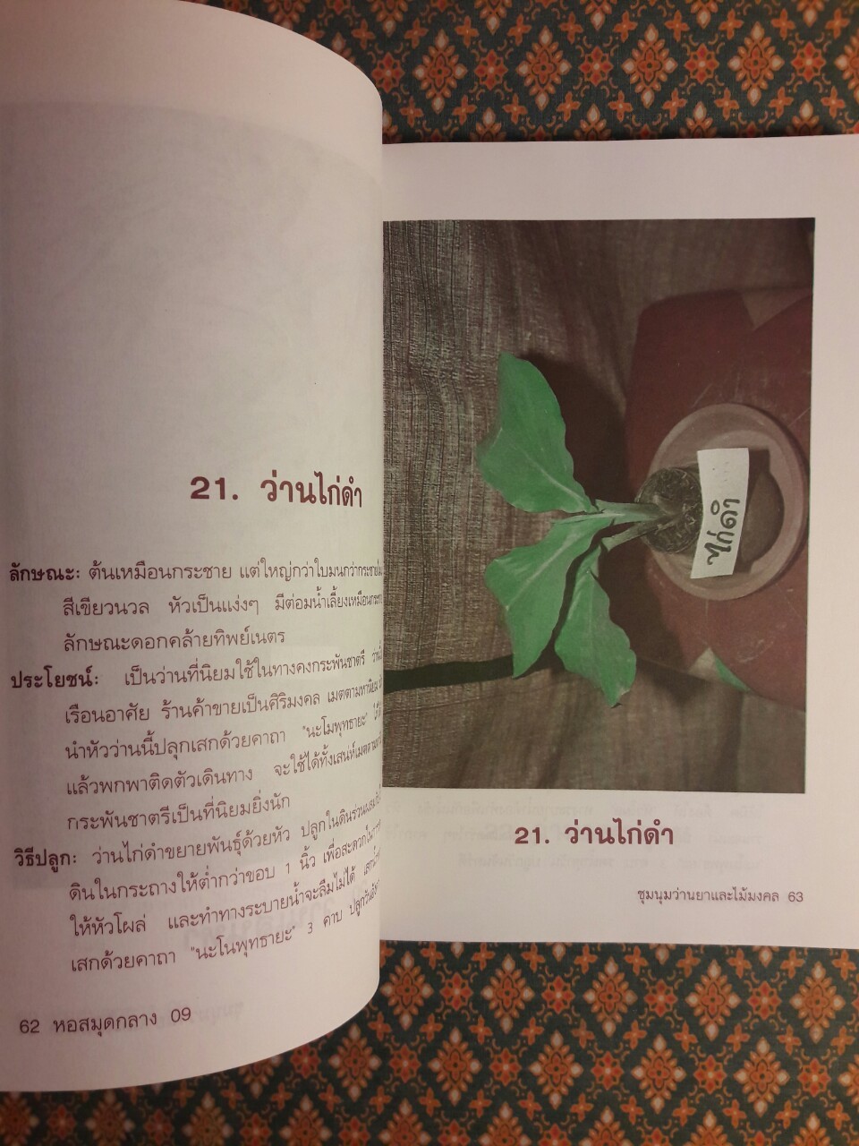 ชุมนุมว่านยาและไม้มงคล