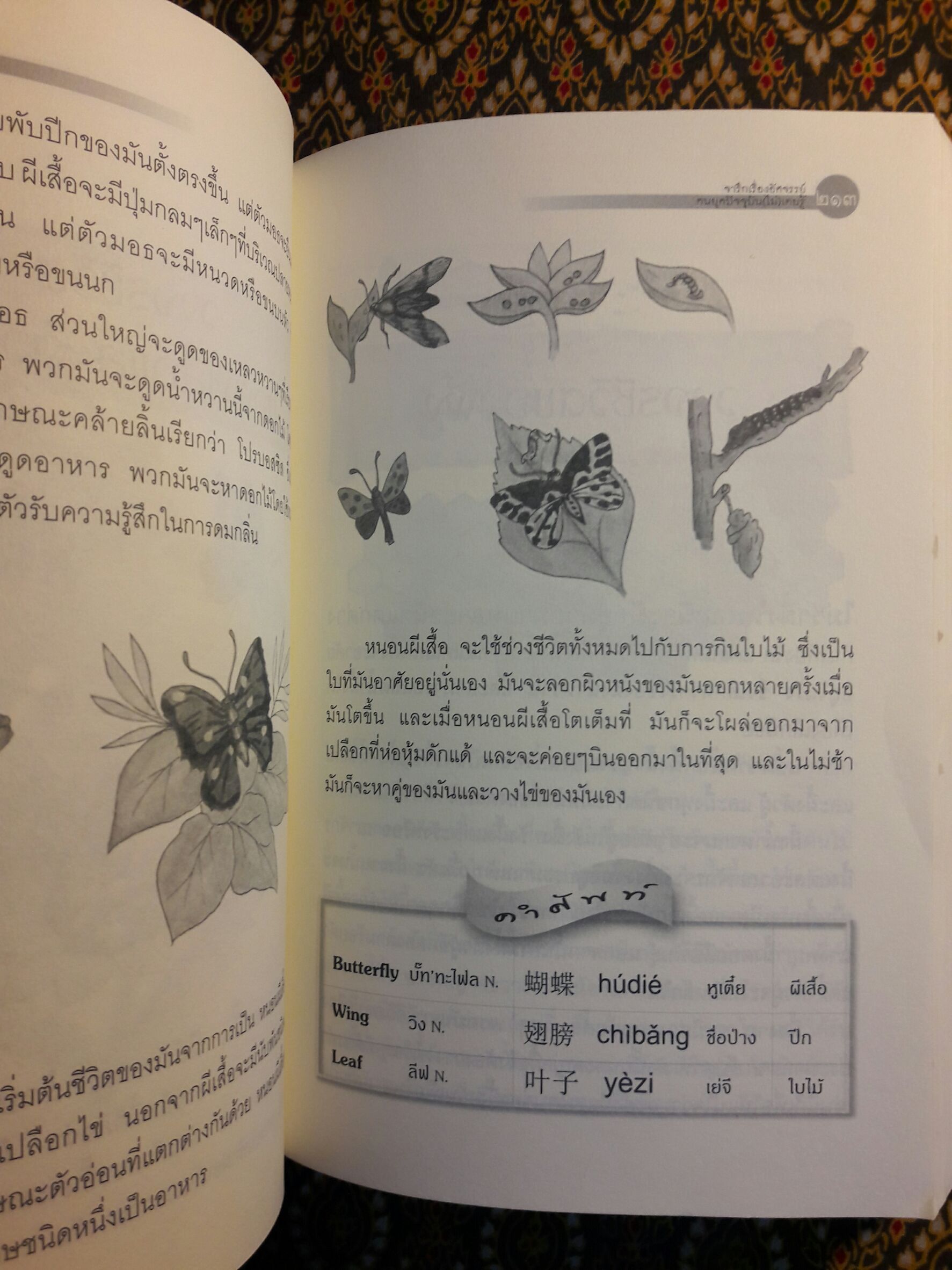 จารึกเรื่องอัศจรรย์ คนยุคปัจจุบัน (ไม่) เคยรู้