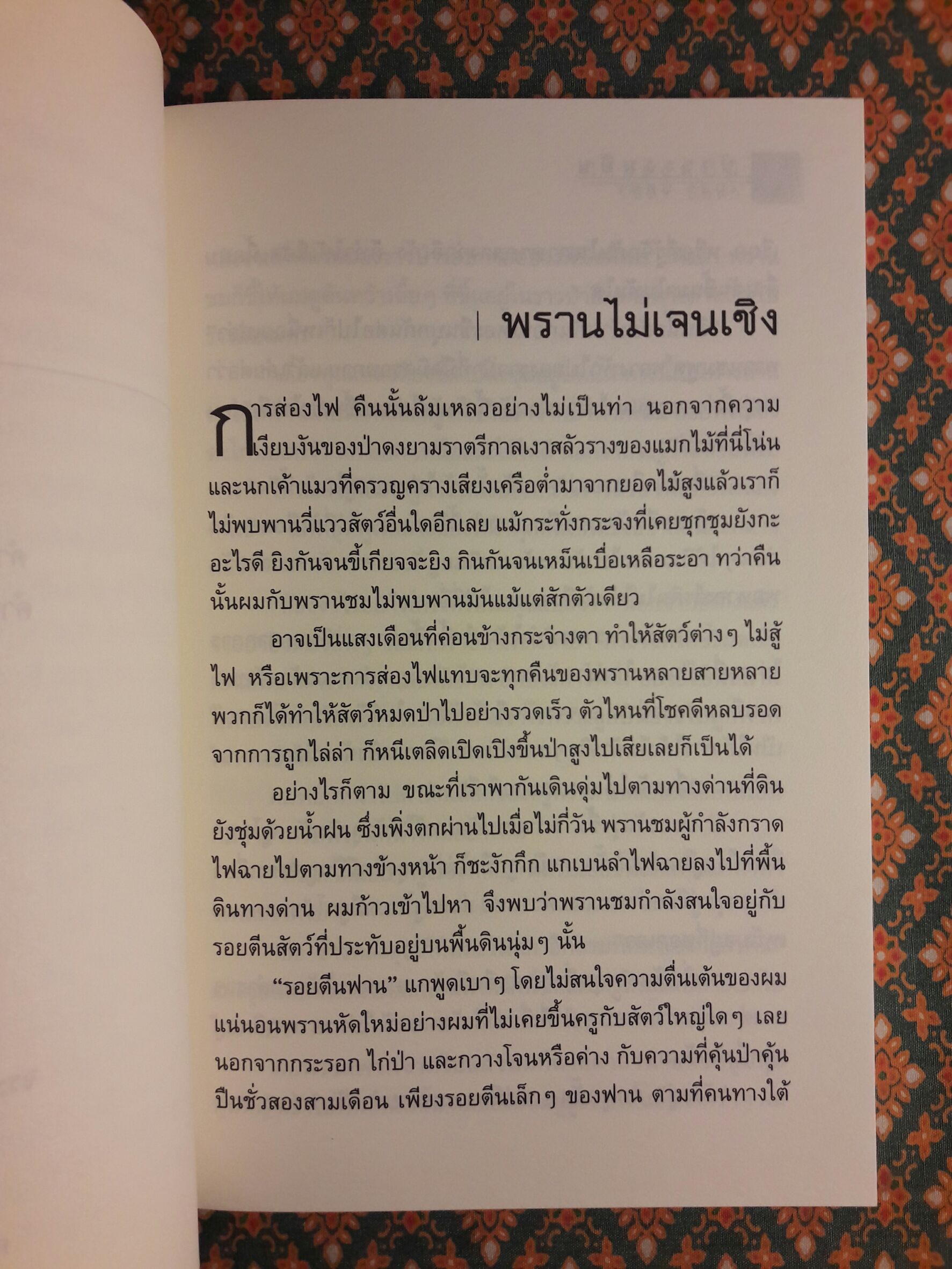 ป่าระงมปืน