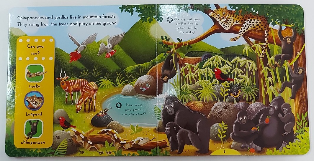 Push Pull Slide Board Book หนังสือภาษาอังกฤษสำหรับเด็ก ของสำนักพิมพ์ Campbellชุด First Explorers