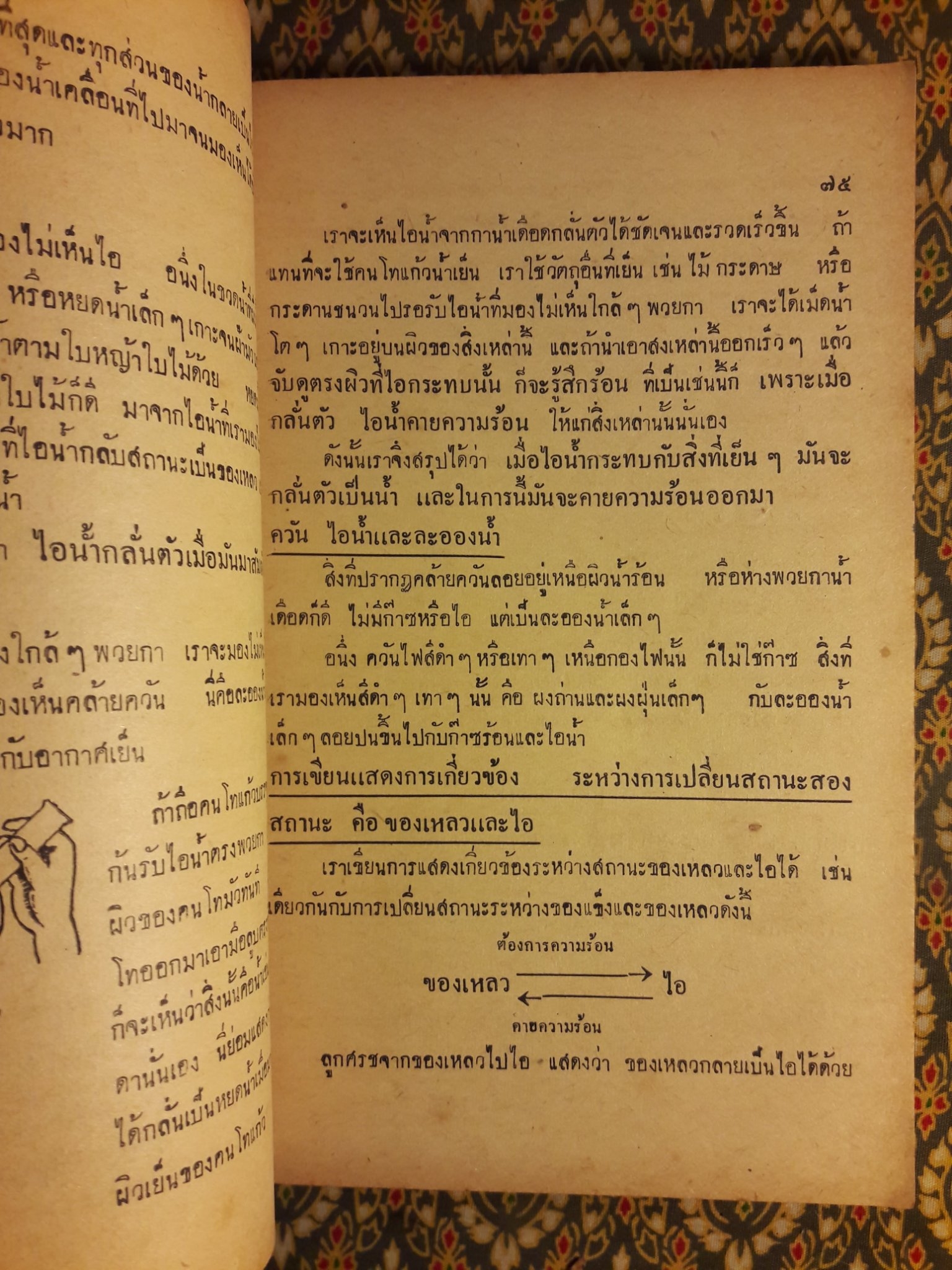 วิทยาศาสตร์ ชั้นมัธยมปีที่ 1 "สินค้ามีตำหนิ"