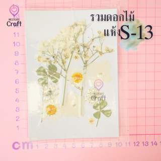 รวมดอกไม้แห้ง S ดอกไม้แห้งทับ ดอกไม้แบบคละ