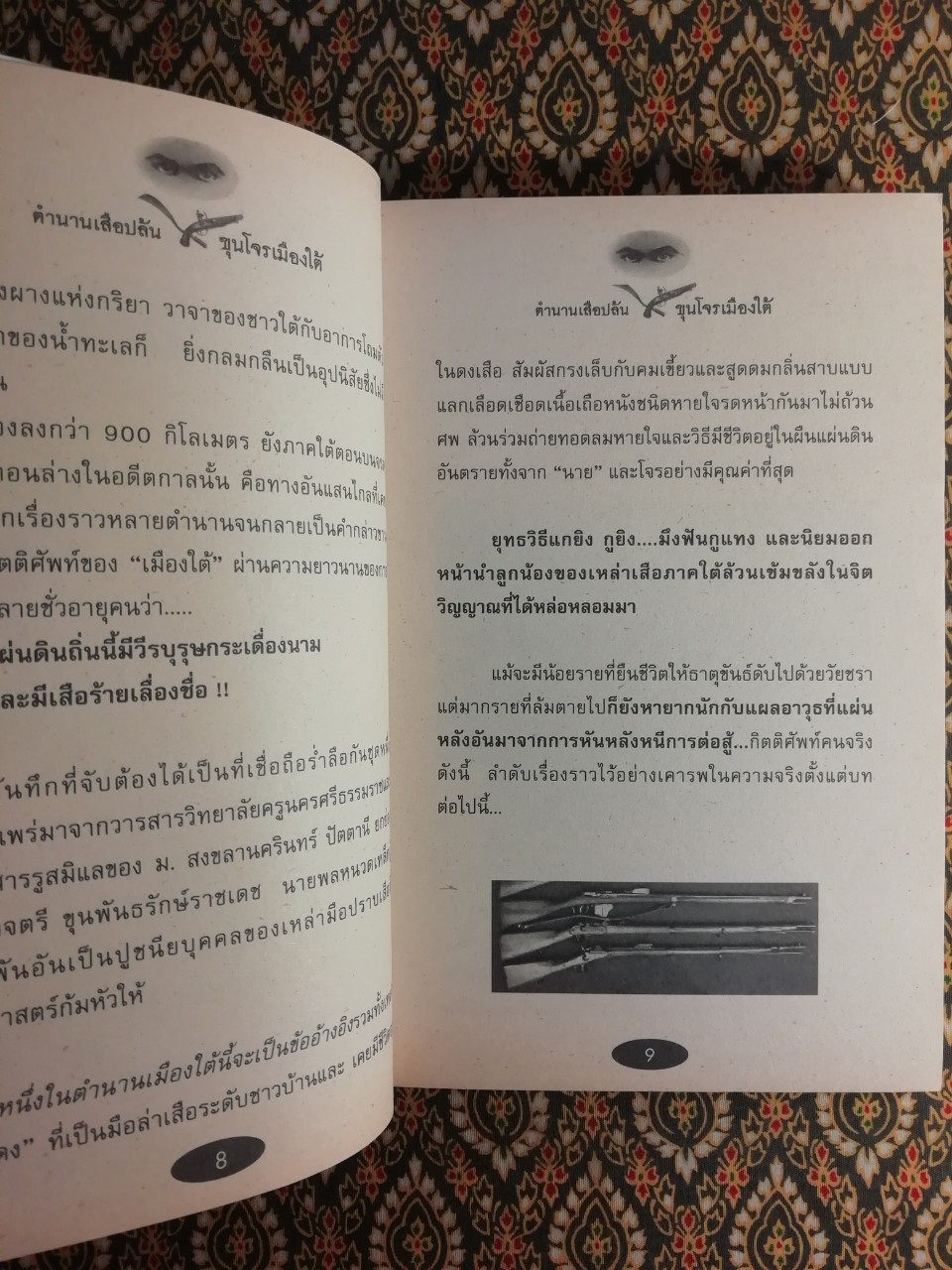 ตำนานเสือปล้นขุนโจรเมืองใต้