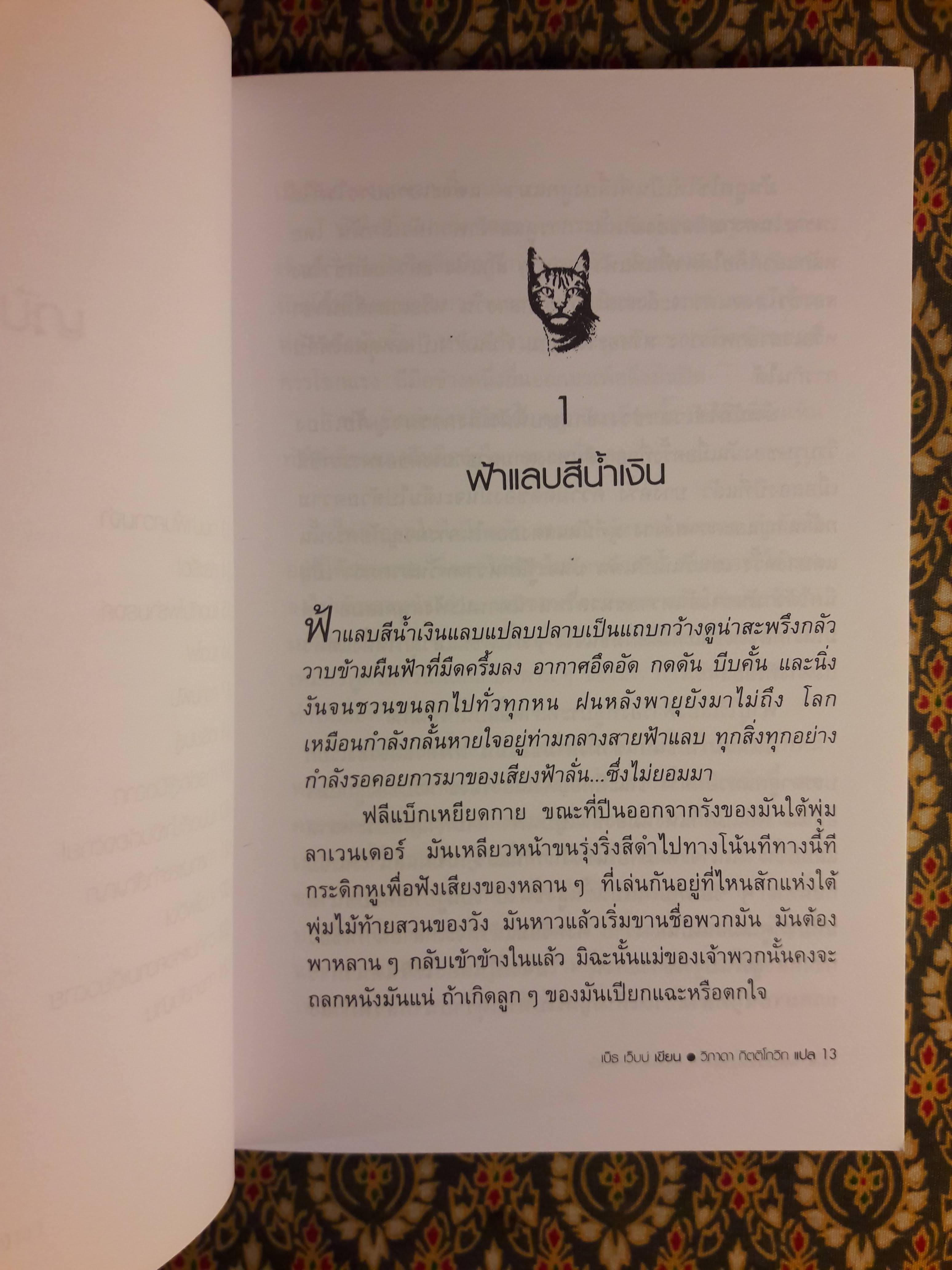 ฟลีแบ็กกับแมวไฟ FLEABAG AND THE FIRE CAT