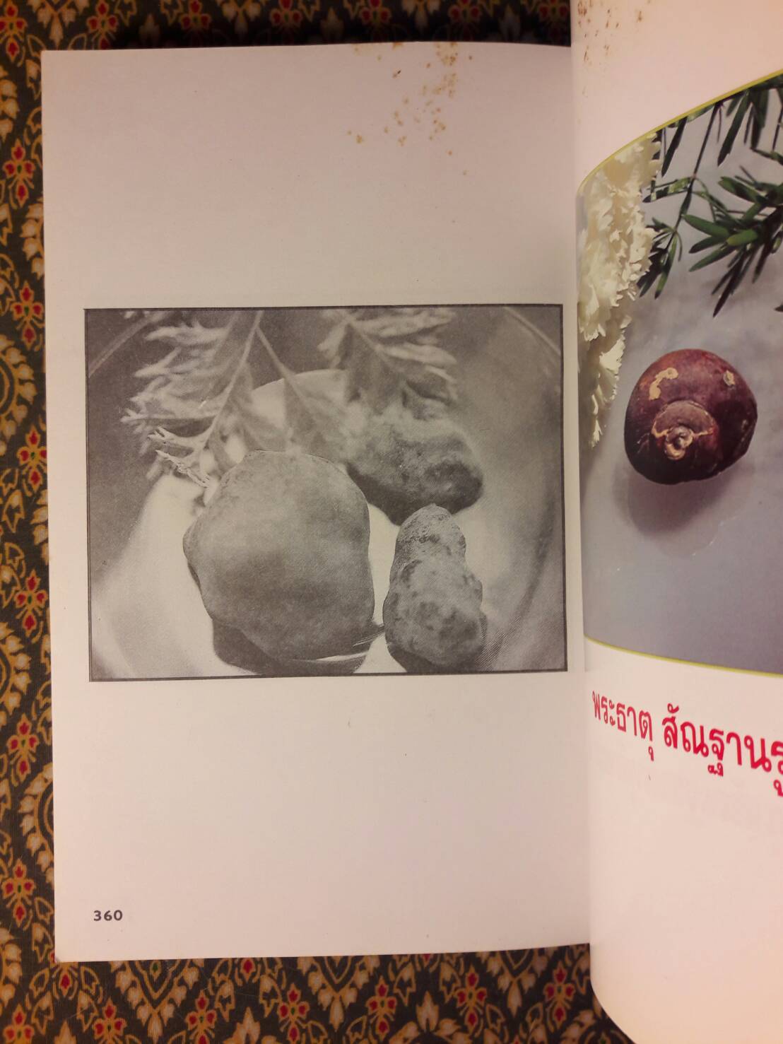 ธรรมะผ่าโลก