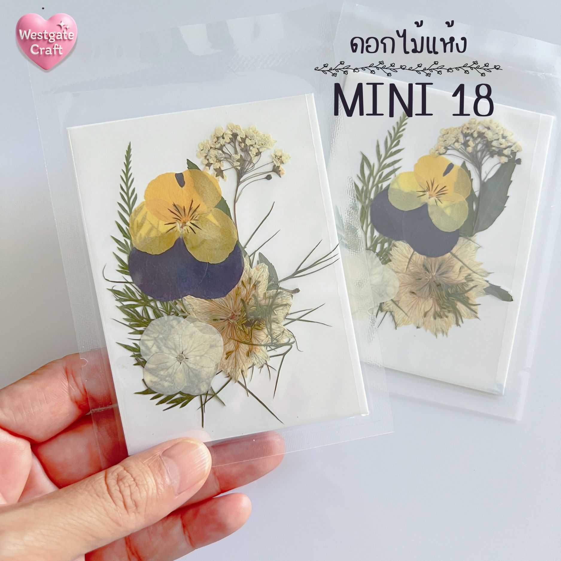 รวมดอกไม้แห้ง Mini ดอกไม้แห้งทับ ดอกไม้แบบคละ ดอกไม้จริง ดอกไม้งานฝีมือ