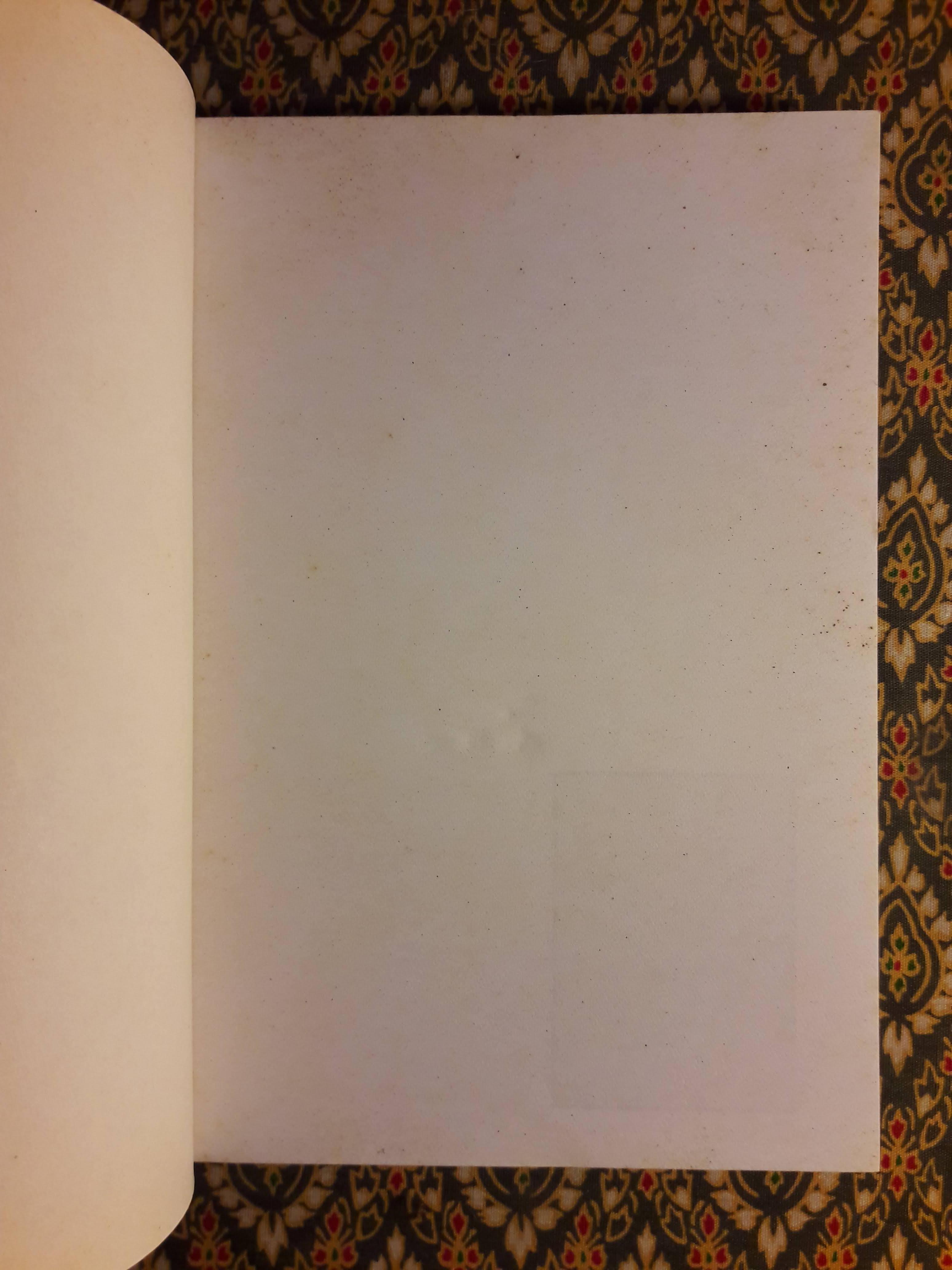 ขุมทรัพย์เมืองไทย ตอนต้นไม้มีค่า