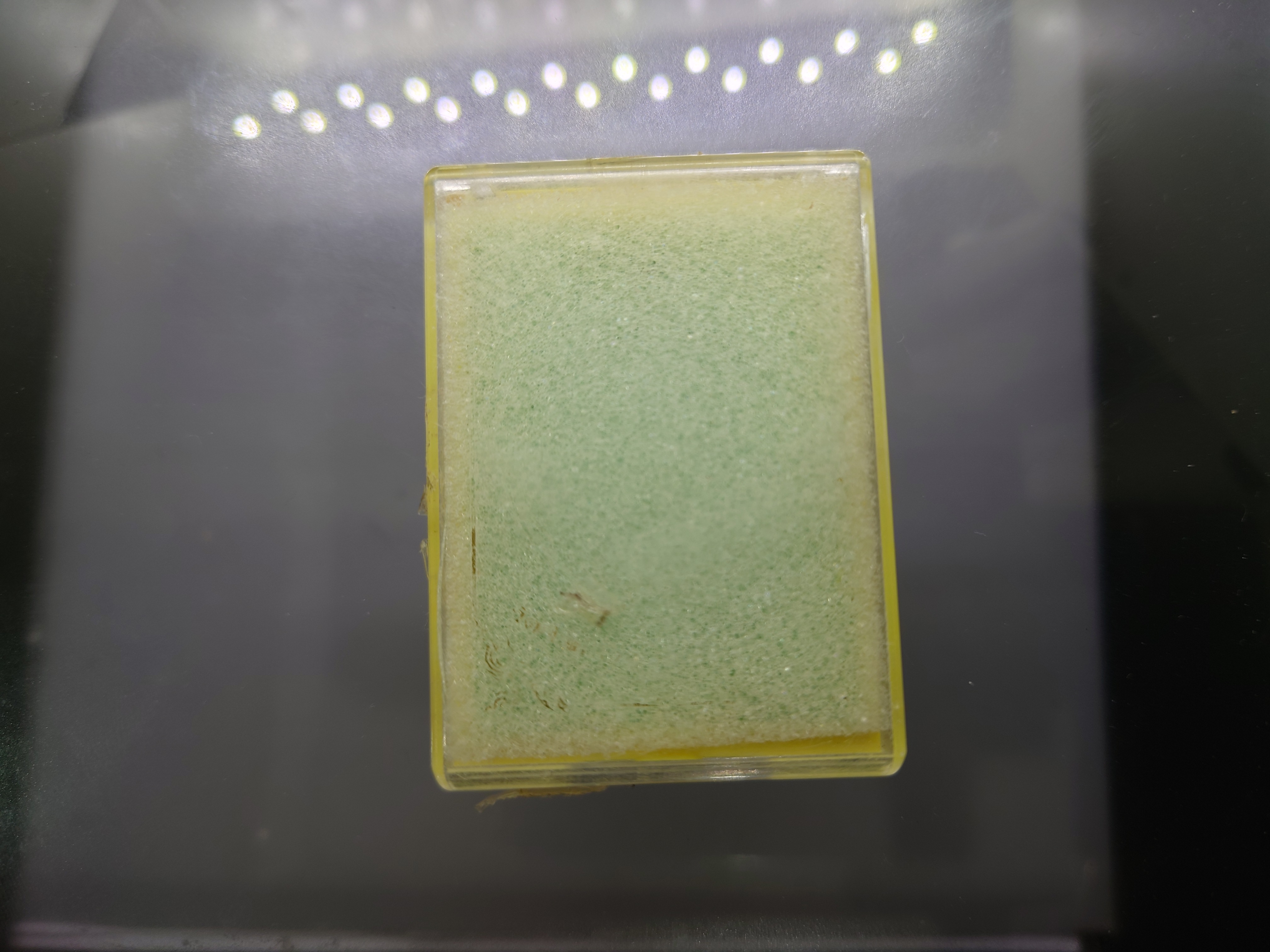 เหรียญเสมาเสือคาบดาบ รุ่น1 (ชุดกรรมการ)เนื้อชนวนลงยาสีธงชาติ องค์เงินแท้ (ตอกกรรมการ) หลวงพ่อพัฒน์ วัดห้วยด้วน โคท 154