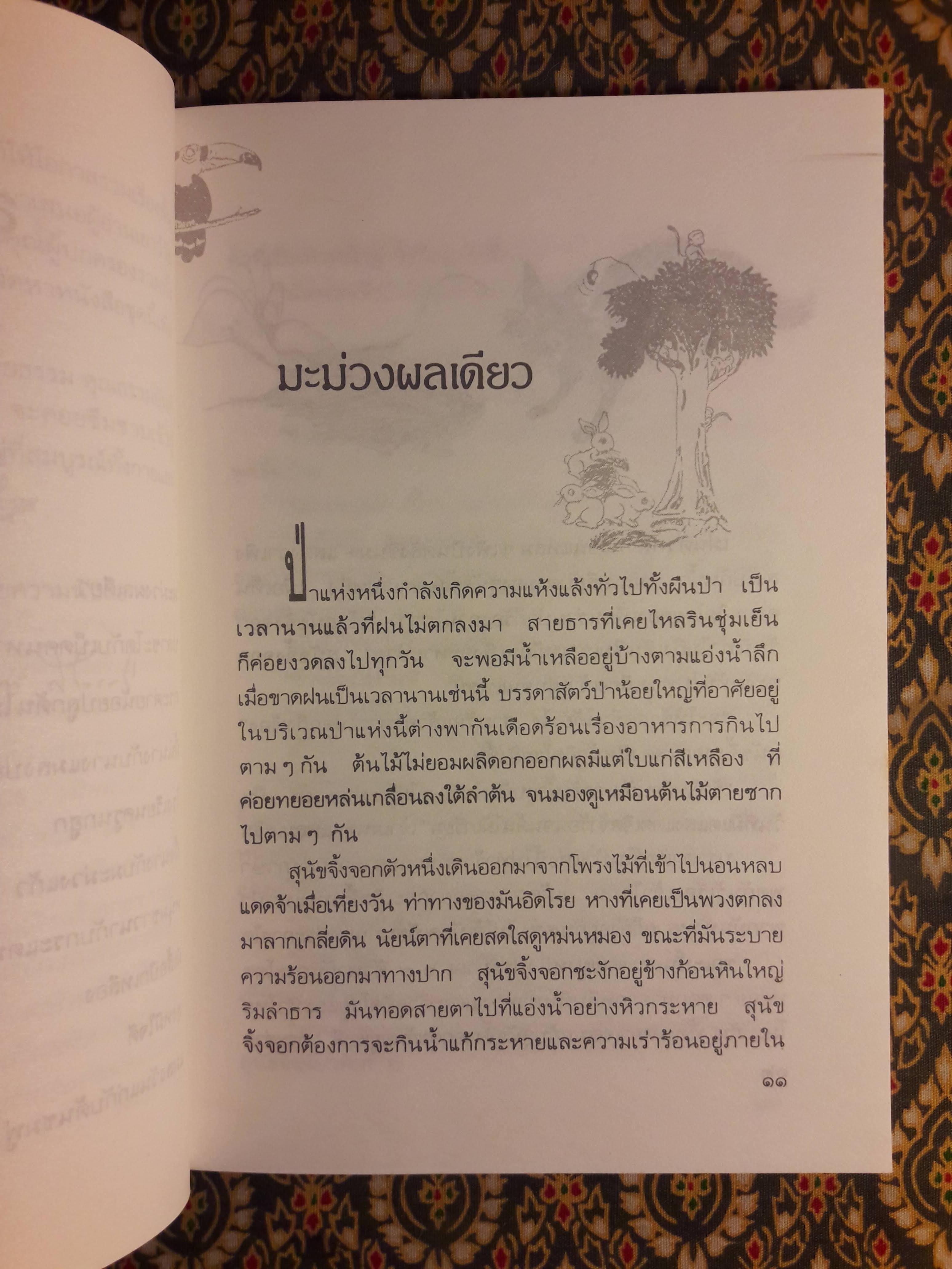 โรงเรียนครูนกฮูก