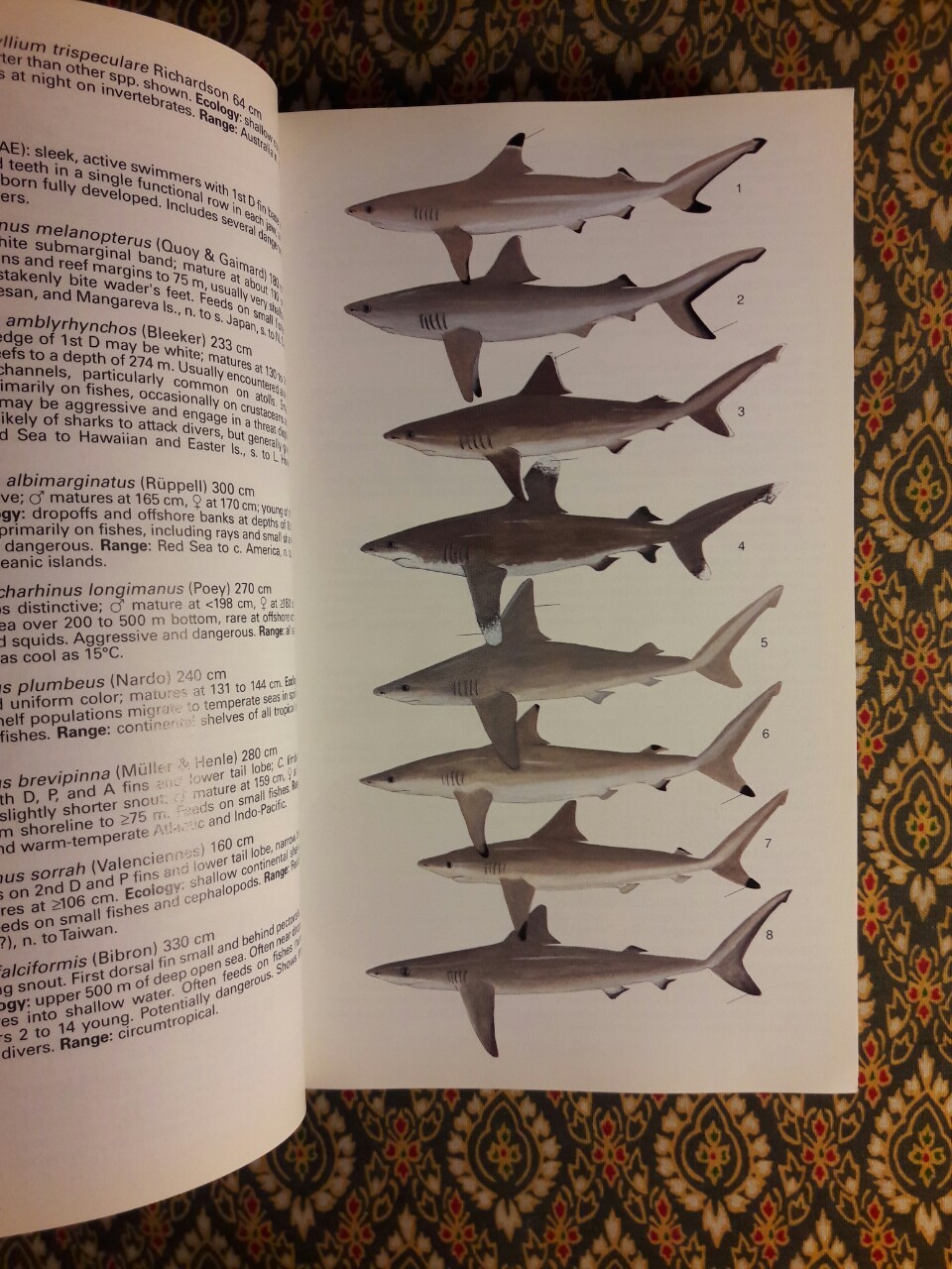 Reef fishes of the world (ฉบับภาษาอังกฤษ)