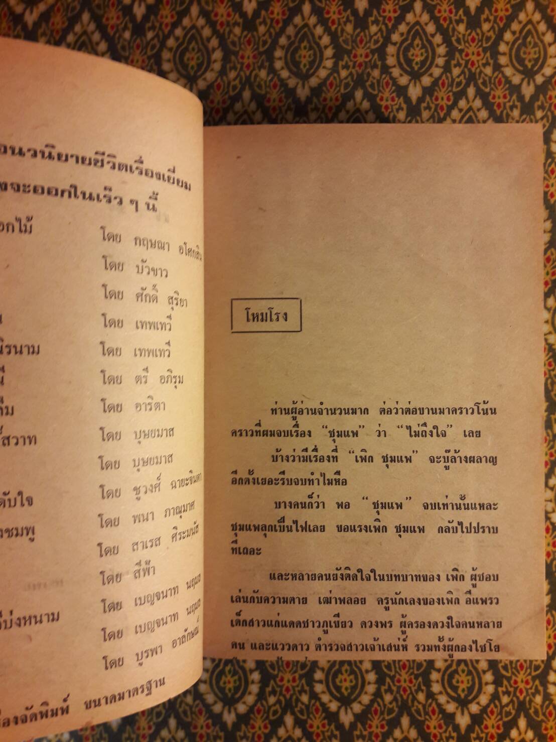 ทุ่งลุยลาย (2 เล่มจบ) “ภาคต่อชุมแพ”