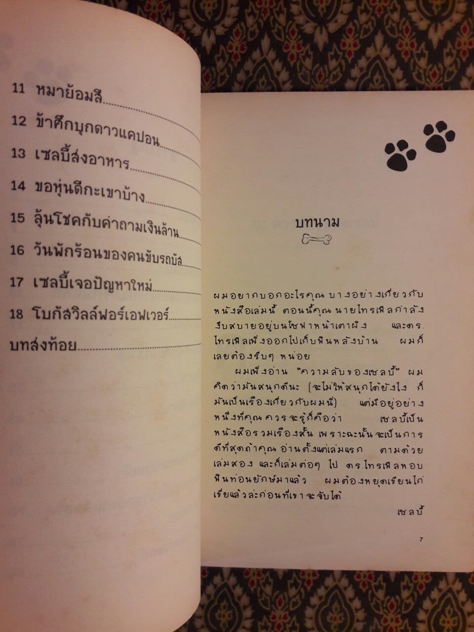 เซลบี้ ความลับของตูบพูดได้ Selby's Secret “หนังสือชนะเลิศรางวัลเกียรติยศ West Australian Young Readers' Book Award”