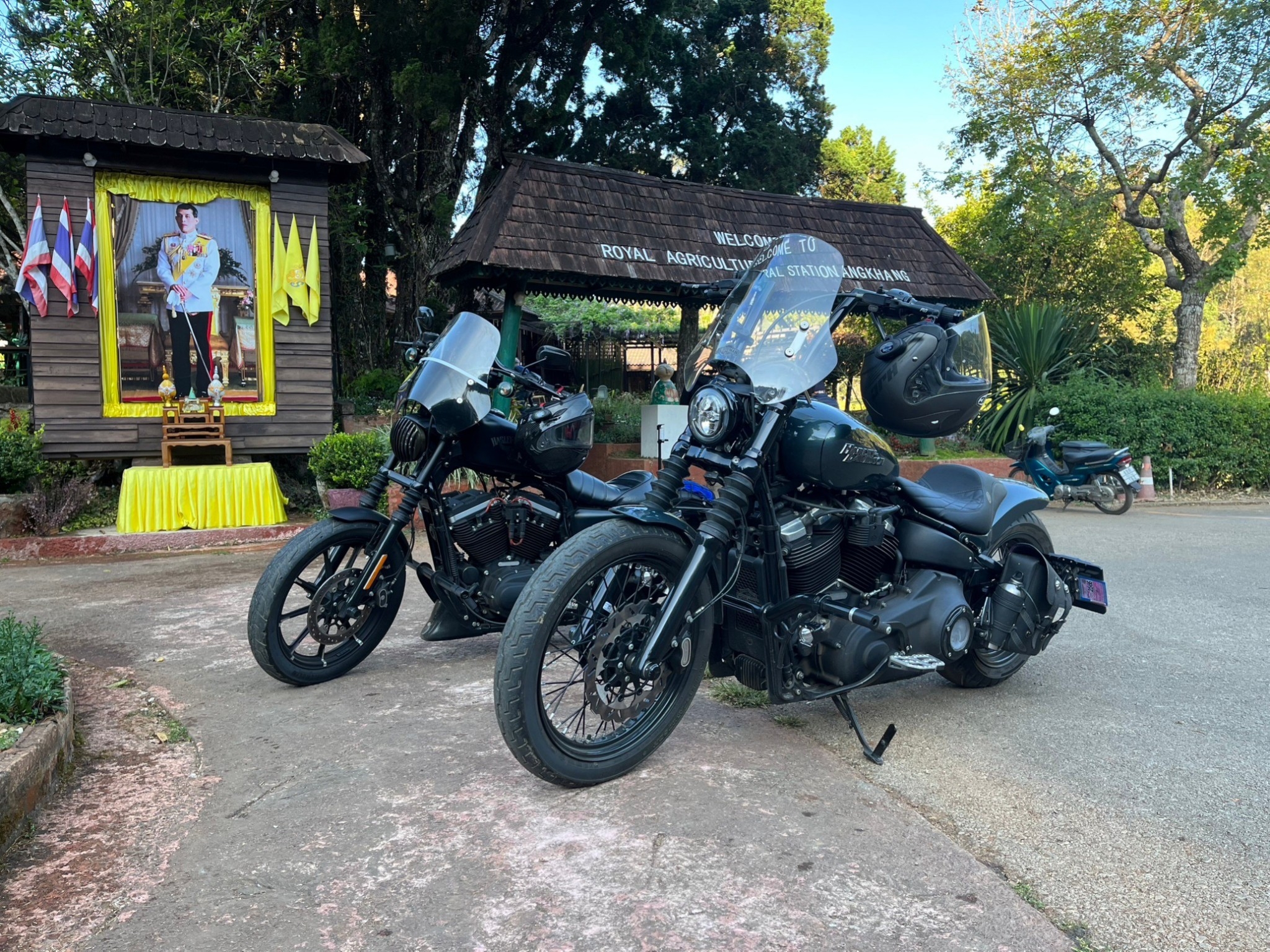 ชิวหน้า ไฟกลม ทรงสูง 47 ซม. สีใส