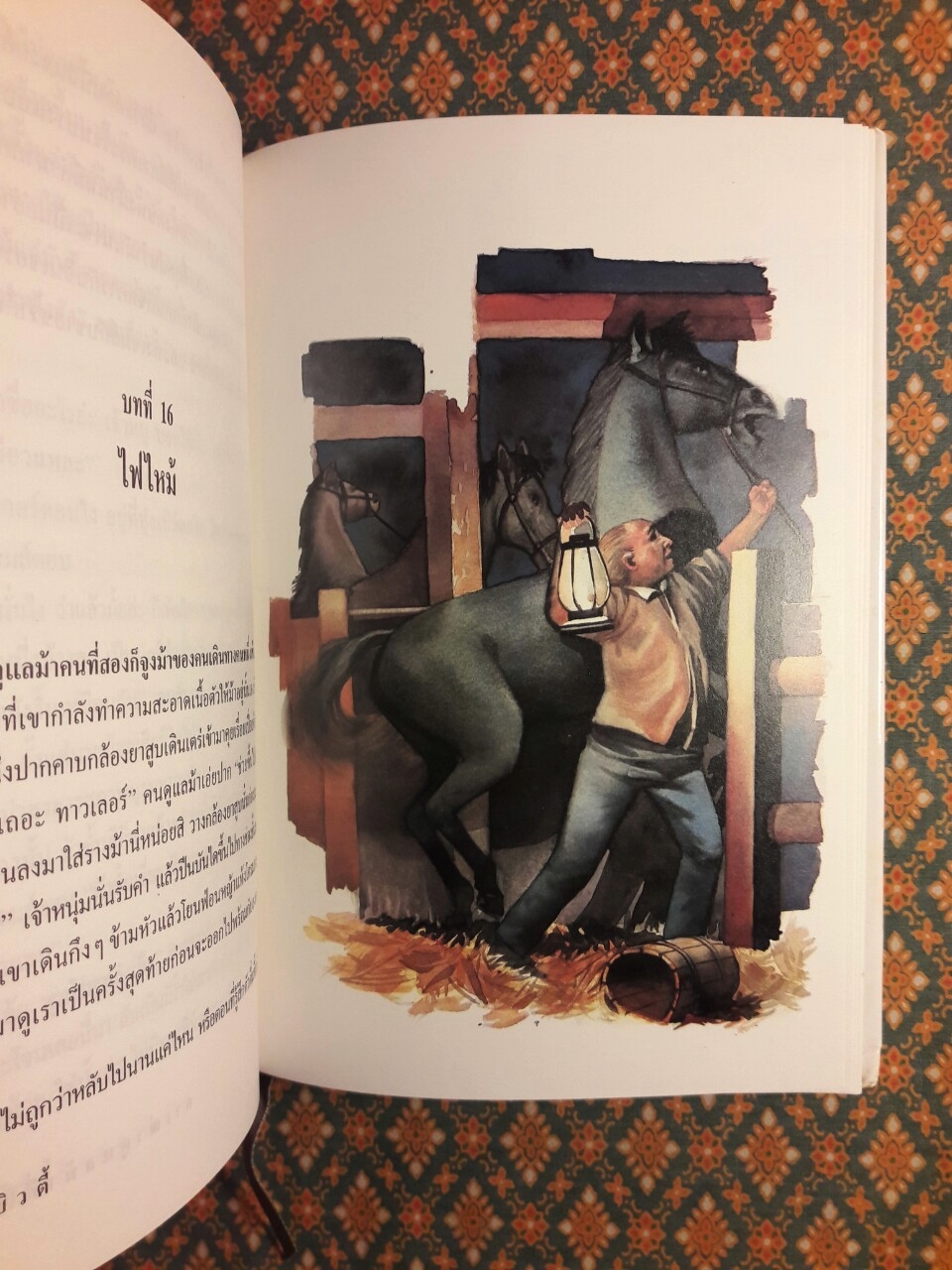 แบล็ก บิวตี้ Black Beauty “พร้อมกล่อง”