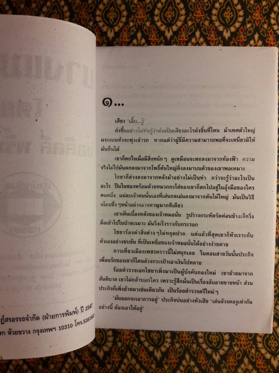 นางแมวป่า