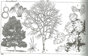 ช่างศิลป์