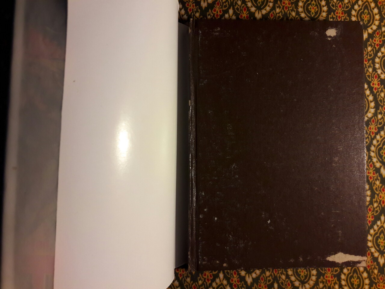 ดาวประดับใจ