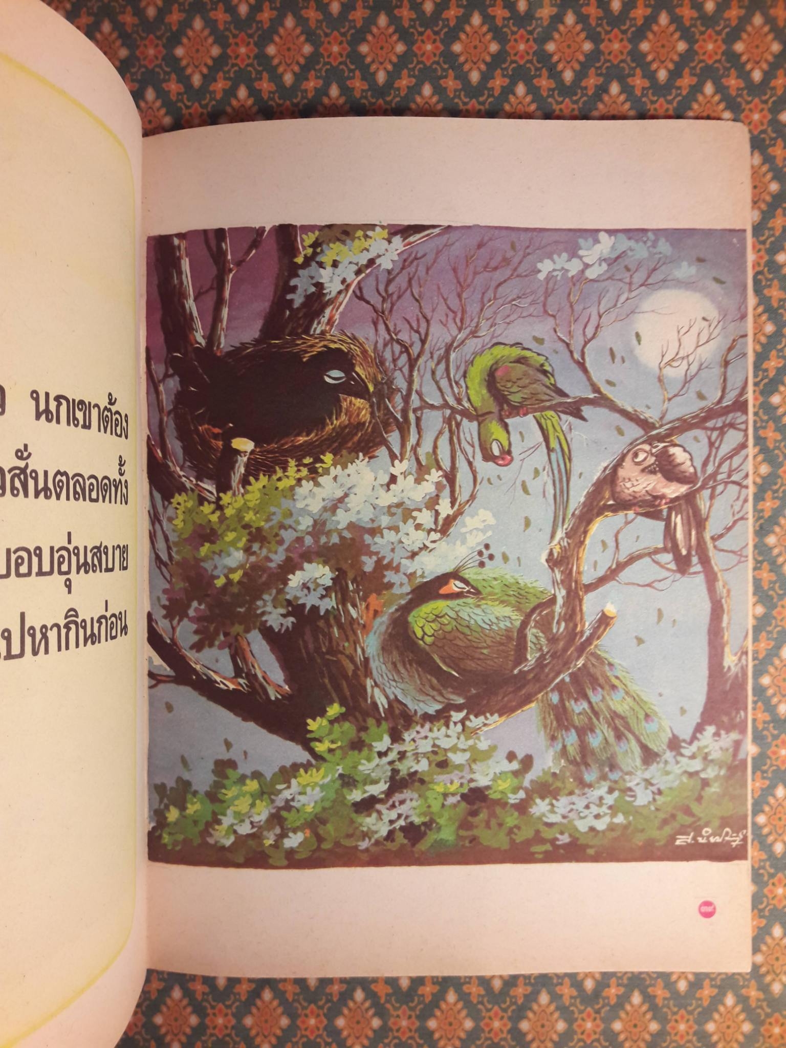 กาสร้างรัง