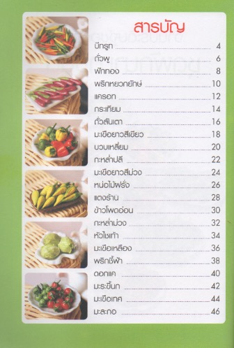 งานประดิษฐ์ของจิ๋ว ชุด ผักนานาชนิด