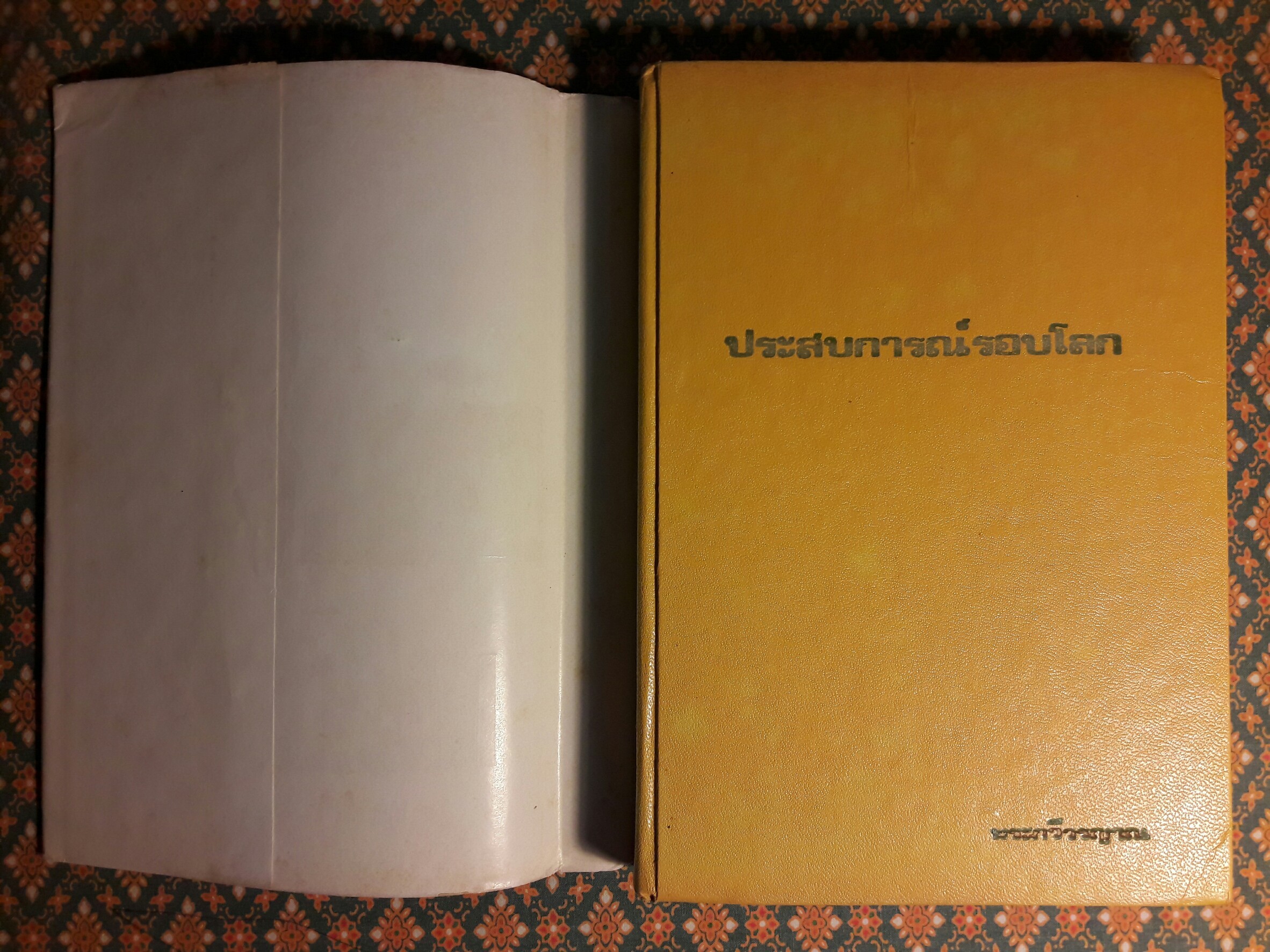 ประสบการณ์รอบโลก