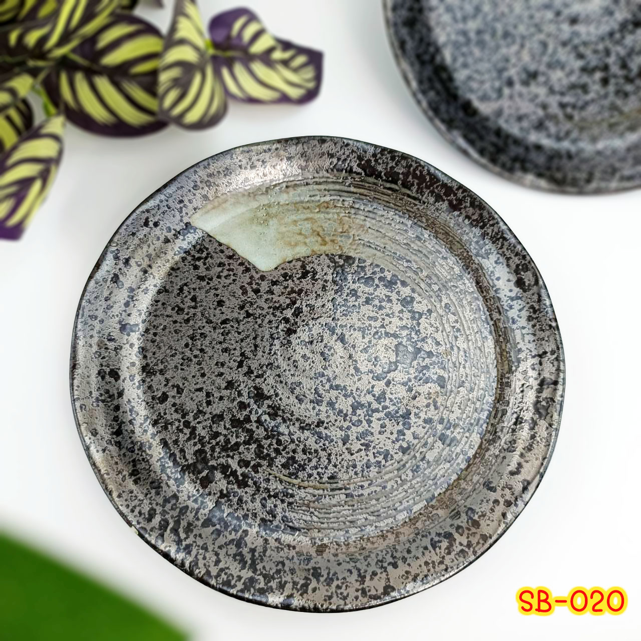 จานบัวเซลามิก EGO ( SB-020 )
