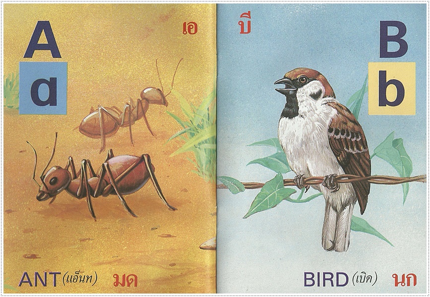 ABC เรียนเร็ว (เล่มเล็ก)