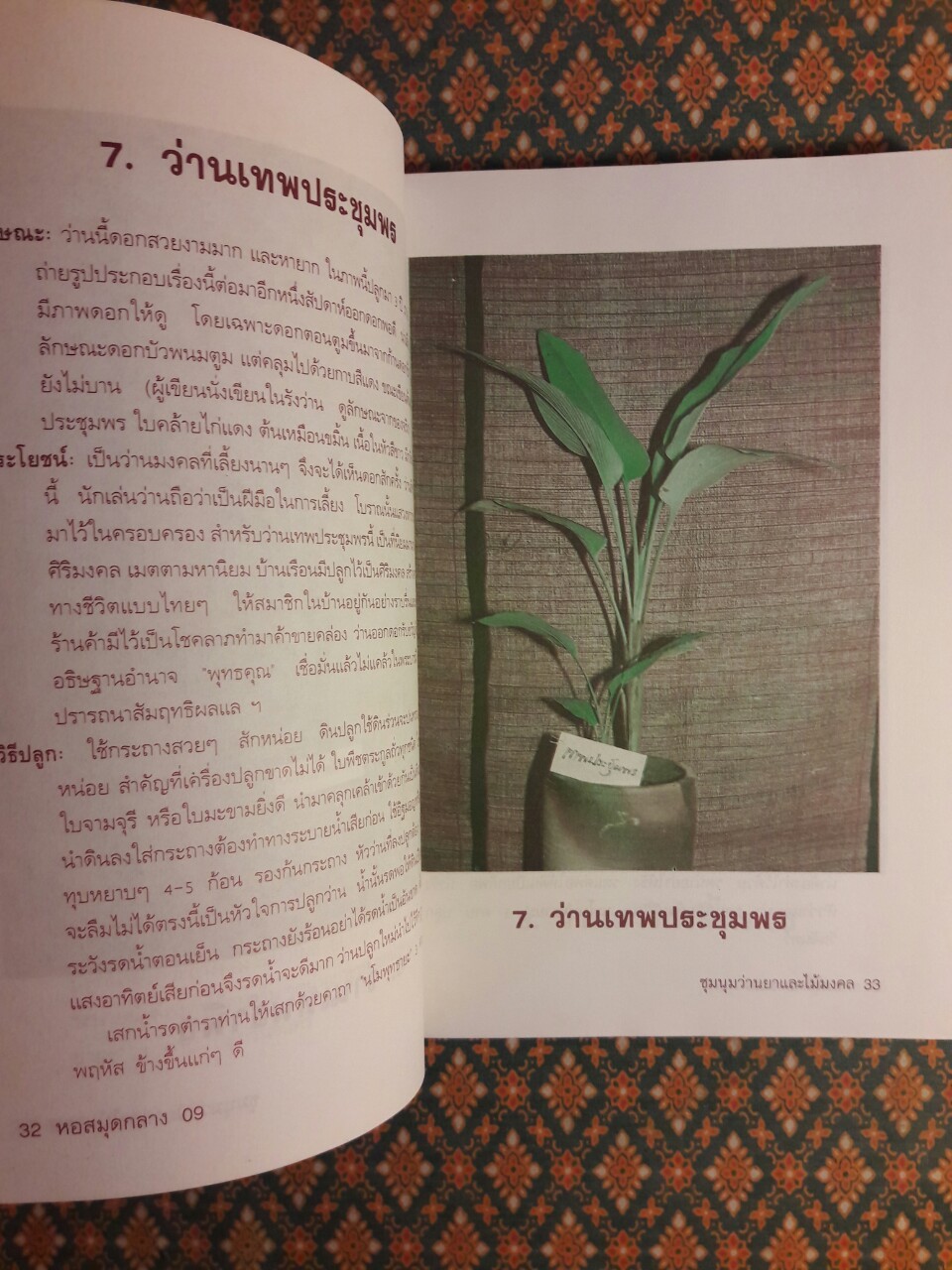 ชุมนุมว่านยาและไม้มงคล