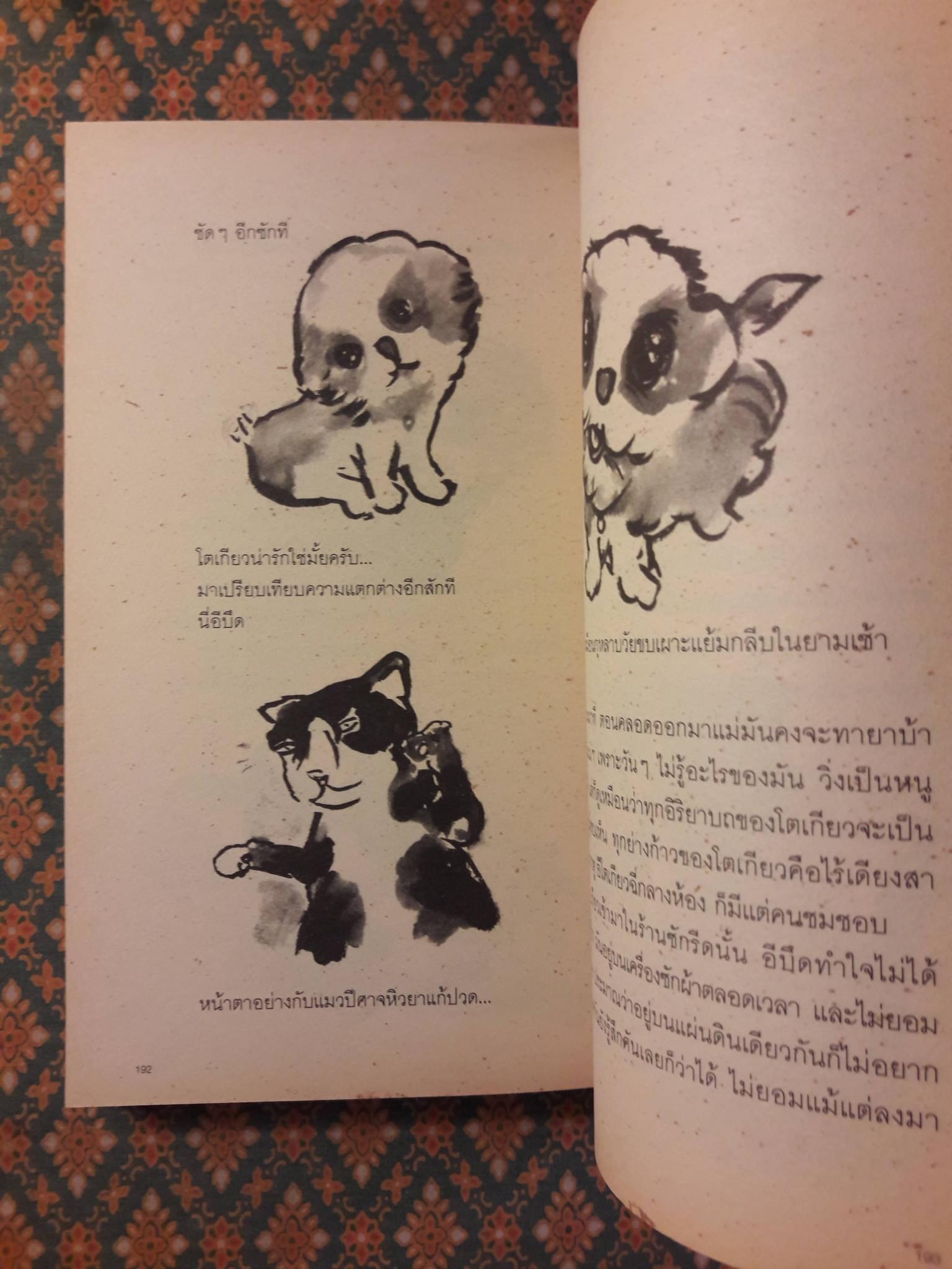 ตะคริว ณ นิ่วใจ