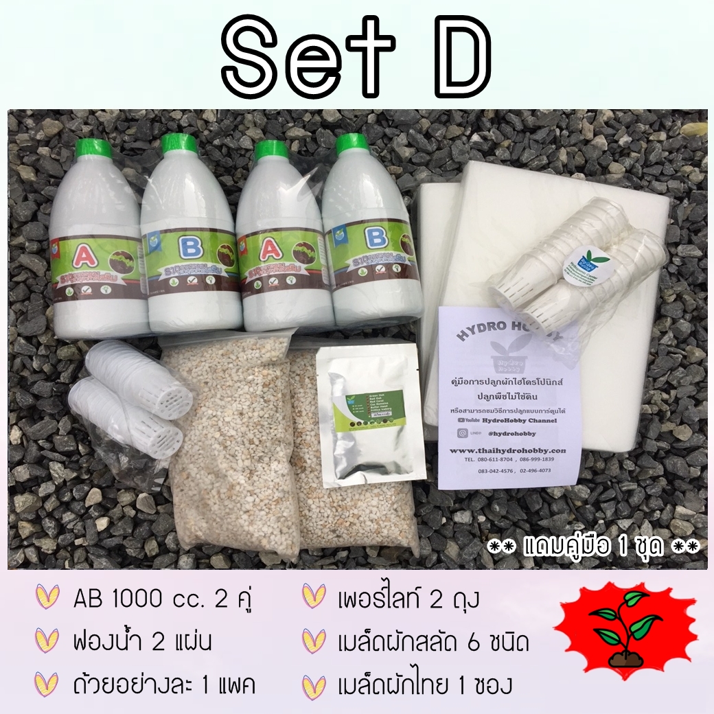 SET D