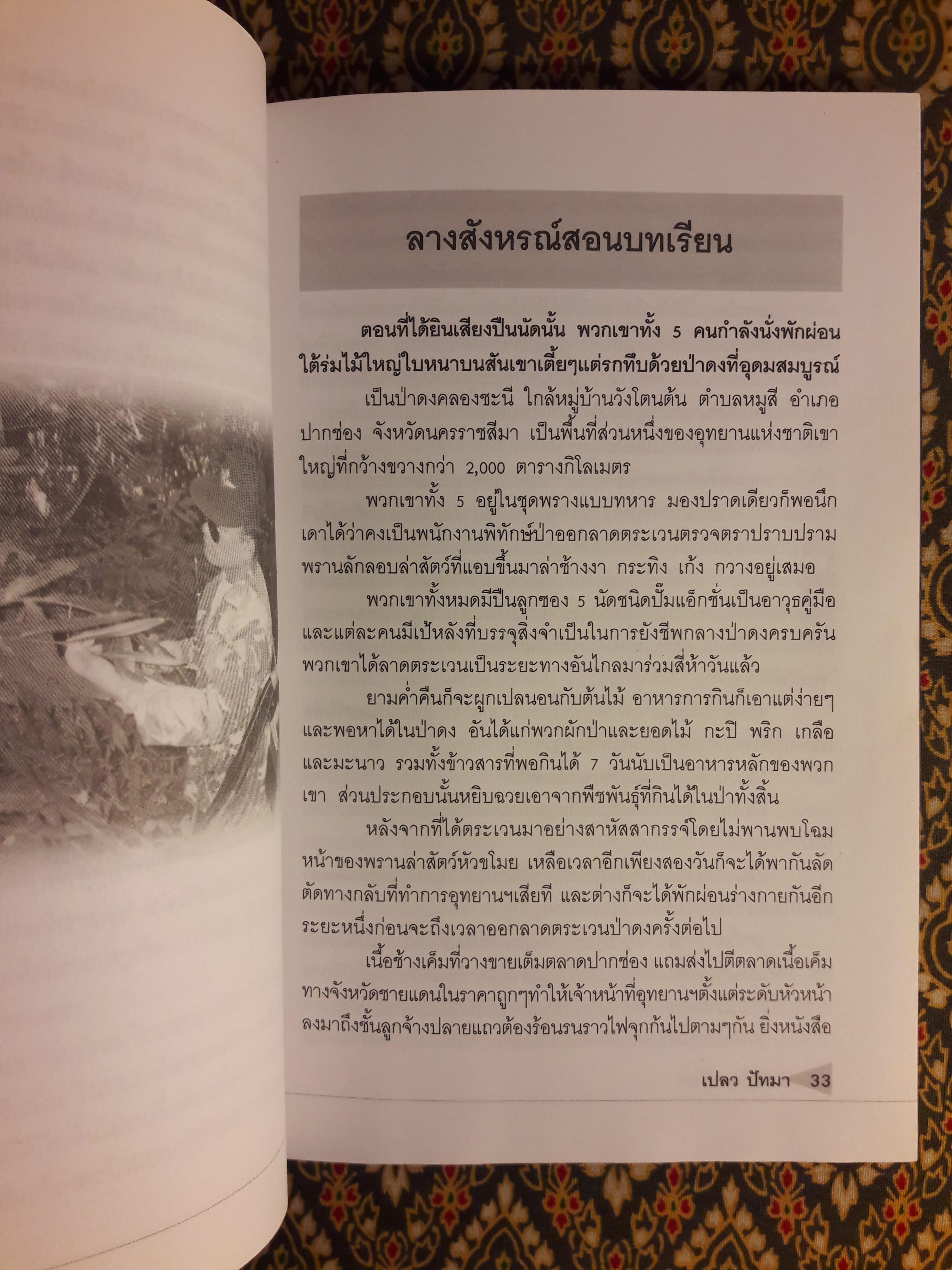 ป่าดิบไพรเดือด