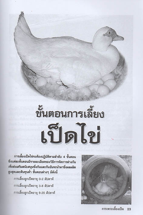 คู่มือการเลี้ยงและขยายพันธุ์เป็ดไข่และเป็ดเนื้อ