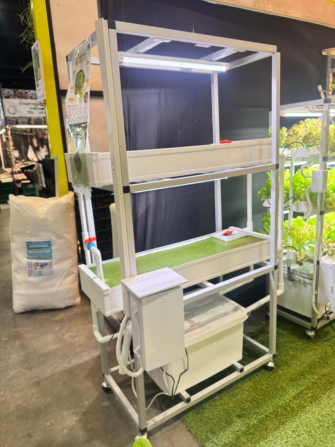ชุดปลูกไข่ผำ ไฮโดรโปนิกส์ พร้อมไฟ LED