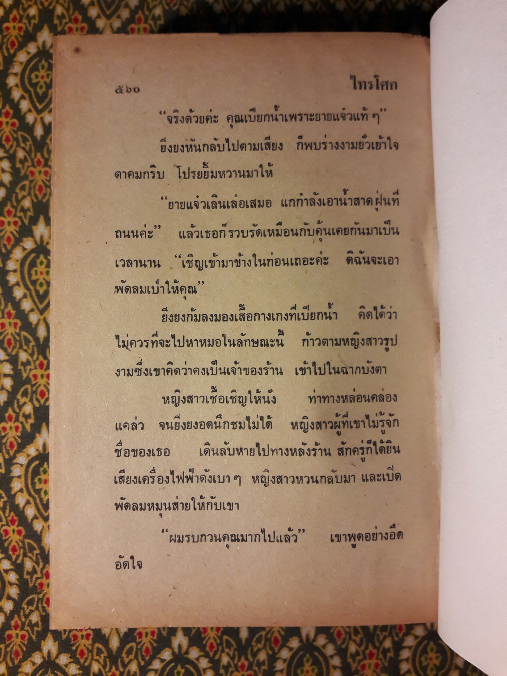 ไทรโศก (2 เล่มจบ)