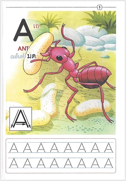 แบบเรียนเร็ว ABC (ปอนด์) - คละปก