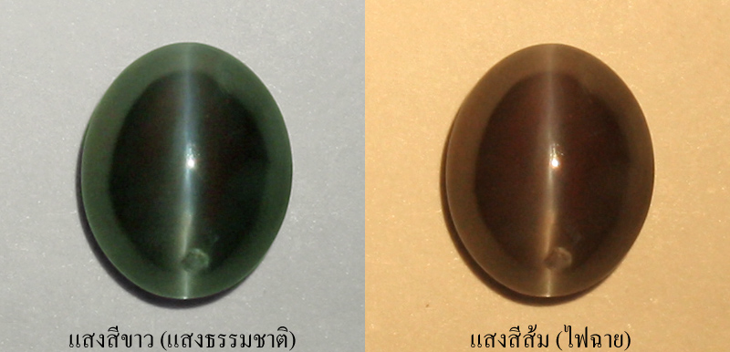 อเล็กซานไดรท์ตาแมว (Alexandrite Cat's eye) 0.96 กะรัต ตาแมวเจ้าสามสี หายากมาก