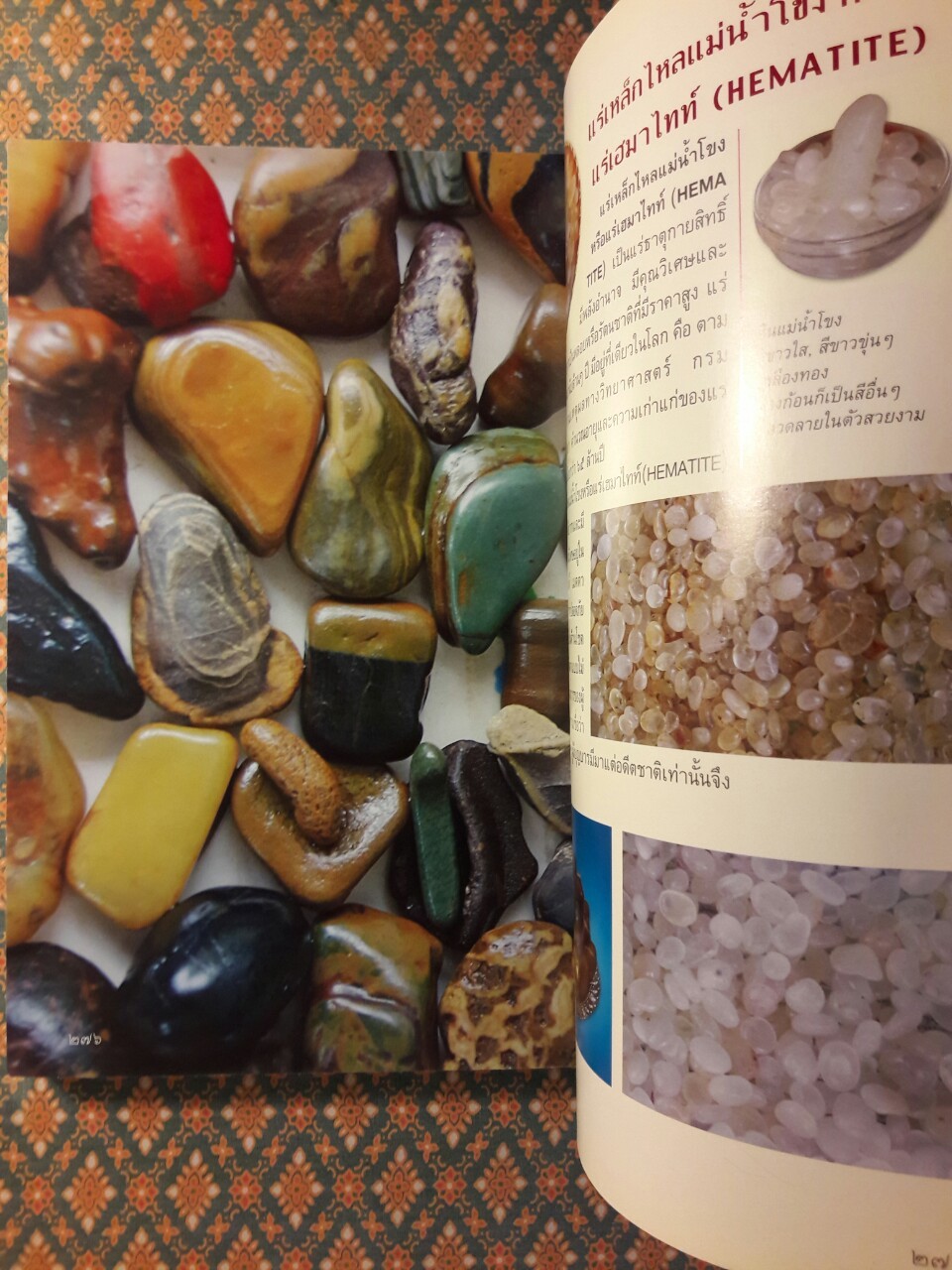 มหัศจรรย์พญานาค