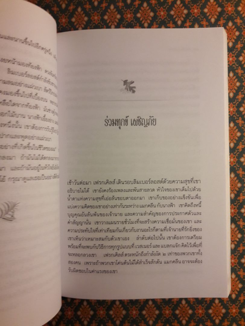 เฟรกเคิลส์ ผู้อาภัพ Freckles