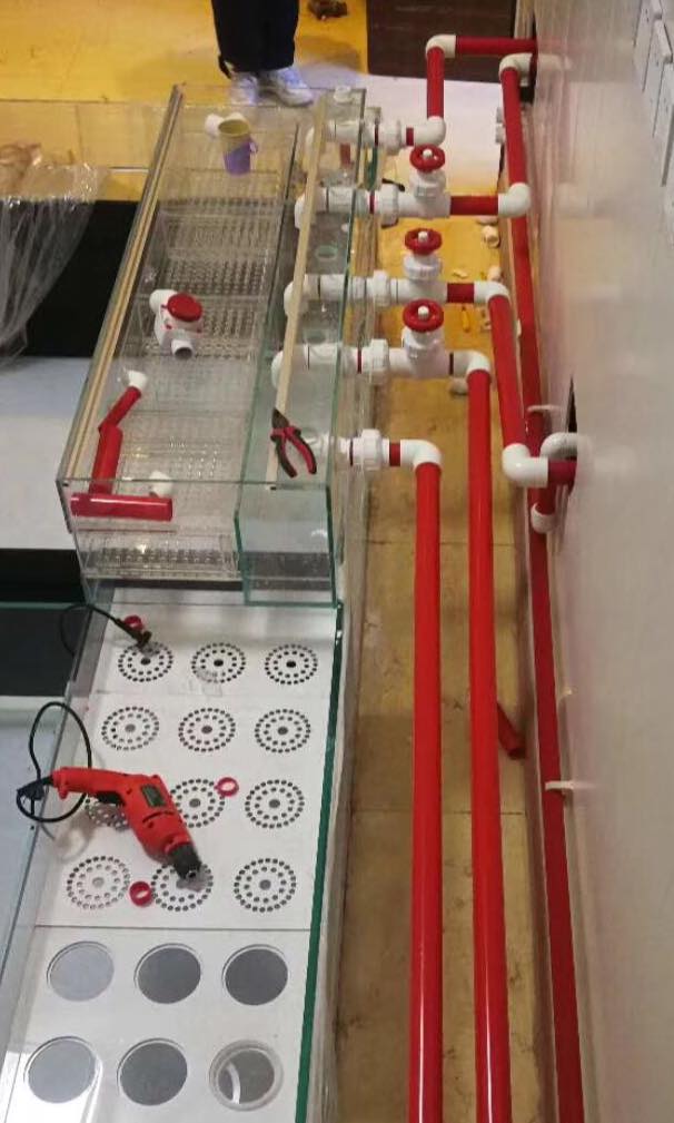 Gate Valve FlowColour 25 มิล